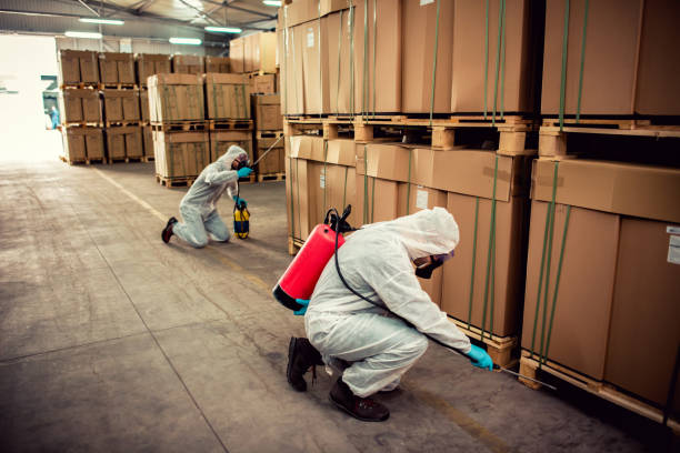 Best Affordable Pest Control Services  in Maple Park, IL
