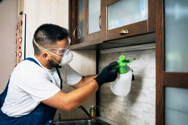 Pest Control Cost in Maple Park, IL
