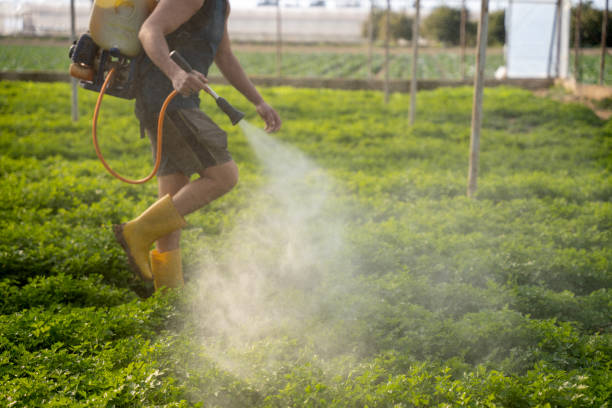 Pest Control for Restaurants in Maple Park, IL